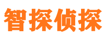 东明侦探公司